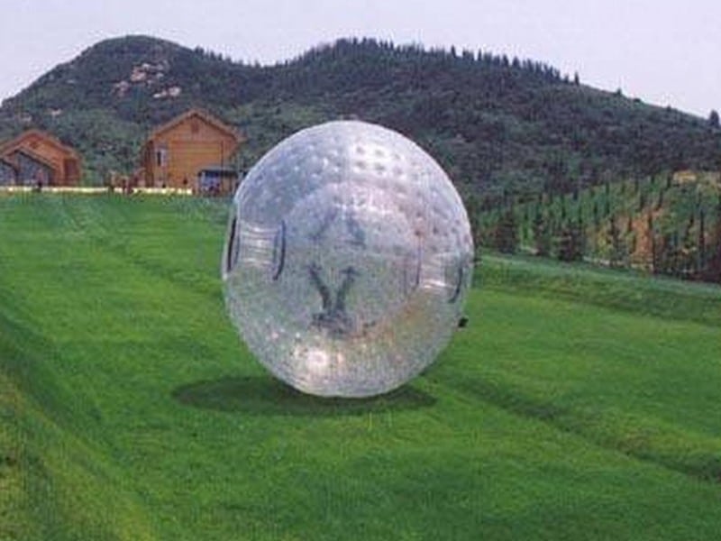 E106056 Zorb Ball - immagine 1