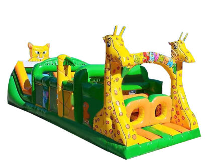 Gonfiabili Scivolo Molise Con Ostacoli